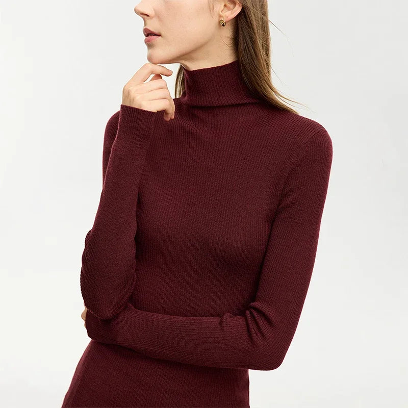 AMII Minimalism Sweater for Women 2026 Winter New Simple Slim Fit High Elastic Turtleneck Warm Solid Pullovers Female 12323075